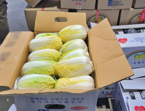 배추 36%·김 20%↑…생산자물가 4개월째 상승세