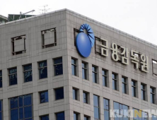 금감원 “대형 GA 불완전판매 집중 검사…운영실태 평가도 공개”