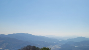 고창군, 성송면 고산 소나무명 공모 ‘만나서 반갑송’ 확정
