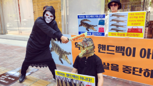 ‘가방 1개=악어 4마리’ 동물보호단체, 악어 학살 중단 촉구 