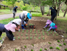 홍천군, 공작산 생태숲 야생화 식재 추진