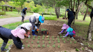 홍천군, 공작산 생태숲 야생화 식재 추진