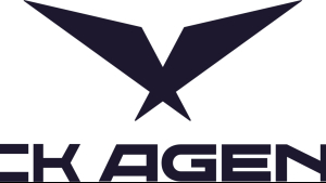 LCK 공인 에이전트 자격심사 접수 시작
