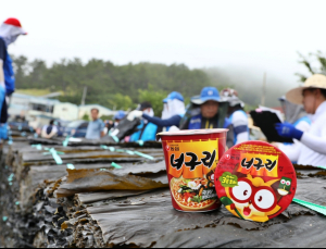 농심, 올해 완도 햇다시마 450톤 구매…“완도 인연 43년째”