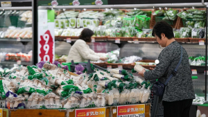 생산자물가, 5개월 연속 상승…물가 상승세 언제 끝나나