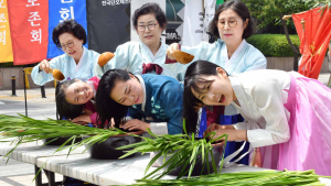 단오제 연합 ‘단오, 단 하나가 되다’ 합동 홍보