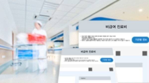 과잉 진료 부추기는 실손보험 비급여…“관리체계 마련해야”