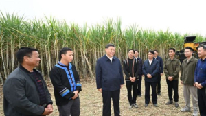 中, 식량안보법 오늘 시행…“해외 식량 의존도 낮출 것”