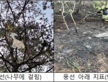 '대남 오물풍선' 강원권 피해⋅신고 잇따라…도,
