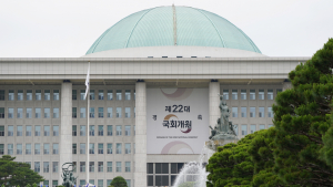 의료개혁 급한데…22대 국회서 간호법·비대면진료 법제화될까
