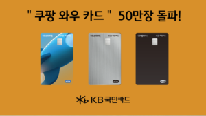 '쿠팡 카드, 컬리 카드?' PLCC 포화…“제휴사 찾기 어려워요”
