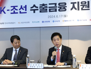 ‘K-조선’ 수출 총력…금융권, RG발급 확대에 15조 투입