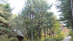 횡성군 청태·태기산 생태관광 명소로 탈바꿈한다