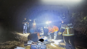 횡성서 야간 수렵활동 중 오인사격 동료 엽사 중태