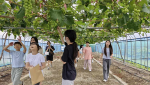 고성 미래농업관, 아열대 작물 맞춤형 견학과 체험 '인기'
