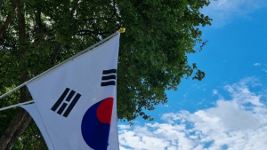 제76주년 제헌절, 전주 거리에 펄럭이는 태극기