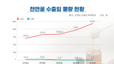 설 자리 잃는 국산 천연꿀…사양꿀 합법화 후 성장세 ‘둔화’