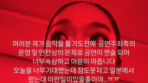 성수동 음악 공연, ‘압사사고’ 우려에 조기 종료…5명 호흡곤란
