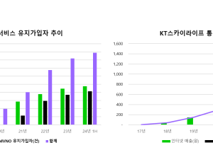 KT스카이라이프 “내년 인터넷·알뜰폰 가입자 100만 돌파 예상”