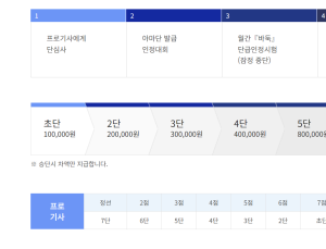 ‘불법 도박’ 바둑인, 한국기원 이사인 아내에게 ‘6단’ 받아