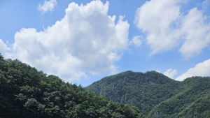 영월군, 드론 활용 총력전으로 수난사고 대응한다