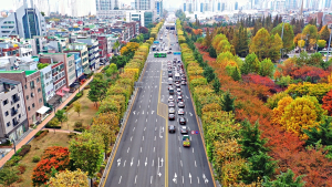 '도심 속 명품 가로수 여기에' 올해 우수 관리 가로수길 6곳 선정...20일 산림청 소식