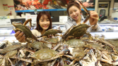 “가을 꽃게가 왔다” 대형마트, 햇꽃게 할인 경쟁