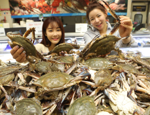 “가을 꽃게가 왔다” 대형마트, 햇꽃게 할인 경쟁