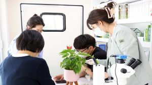 전문가와 함께하는 '수목원-초등학교 협력형 늘봄학교' 인기… 28일 한수정 소식