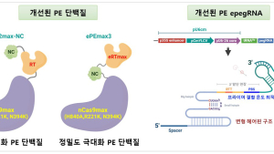 경상국립대, 쌍떡잎식물 유전체 교정에 새로운 '프라임 에디팅' 기술 개발