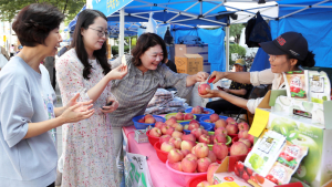 송파구,