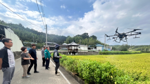 수확기 벼멸구 비상…산청군, 긴급 공동 방제
