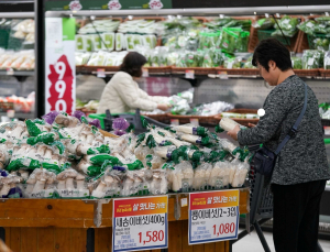 ‘불경기에 집밥 수요↑’…온라인 식품 연매출 50조원 눈앞