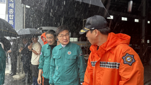 '부산 사상구 싱크홀 사고'···김대식 의원, 부산시·부산교통공사 질타