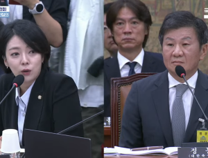 배현진 의원 “축구협회 공식 문건에 ‘현대산업개발’ 너무 많이 등장”