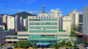 통영해경, 지적장애 선원 임금착취 등 인권유린사범 검거