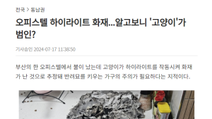 고양이가 불낸 거 맞아요!...그런데 인덕션은 불이 나지 않을까?