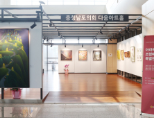 충남도의회 다움아트홀, 아라메조형예술협회 10주년 특별전