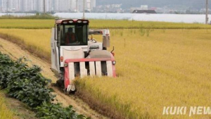 [단독] 역량집중하는 가루쌀 육성 절반만 성공…“농식품부, 소비대책 마련 시급”