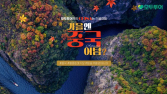 모두투어, 가을 단풍 인기 여행지는 ‘일본·중국·캐나다’
