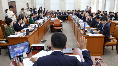 김영선·명태균 불출석하자…행안위, 동행명령장 발부 [2024 국감]