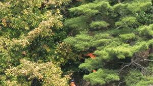 강원서 주말사이 산악사고 잇따라…60대 부부 등 8명 구조