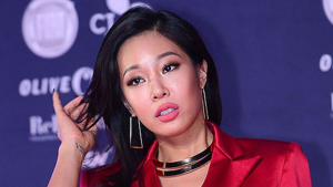 경찰, ‘팬 폭행 방관’ 가수 제시 소환 조사 검토