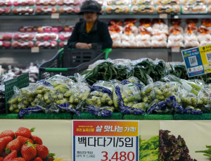 농협유통·하나로유통 지난해 600억원 손실…“조합원 손실 우려” [2024 국감]