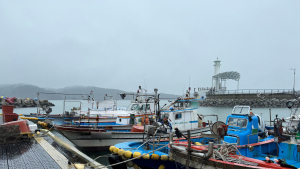 사천해경, 연안 안전사고 위험예보제 '관심' 발령