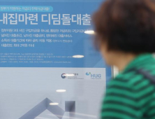 장관말 뒤집고 꼬리 자르기까지...디딤돌로 체면구긴 국토부