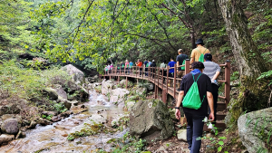 춘천숲체원 '퇴직예정 공무원 귀산촌 프로그램' 인기