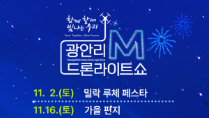 깊어지는 가을 밤 펼쳐지는 아름다운 빛의 향연...11월 광안리 드론쇼