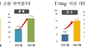 올해 마약 밀반입 적발 '1900만명 동시 투약분'