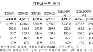 강달러 영향에 10월 외환보유액 42.8억달러↓